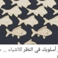 الحياه حلم 🐎🐪 (@alkhbrsaud6646) 's Twitter Profile Photo الحياه حلم 🐎🐪 (@alkhbrsaud6646) 's Twitter Profile Photo