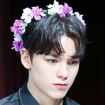 a new carat!
I only made this account for the shua hashtag, but excited to continue my carat journey here!
please ignore the poorly cropped banner 😭