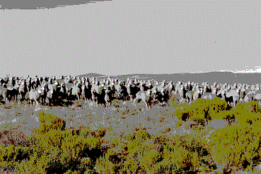 Paul1206Miller's profile picture. 