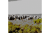 Paul1206Miller's profile image