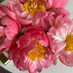 Scent Alchemist (@scentformulator) Twitter profile photo Scent Alchemist (@scentformulator) Twitter profile photo