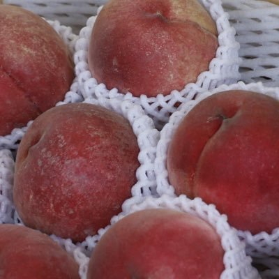 KOGUMA2327's profile picture. 