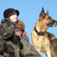Lucy (@l_cobb46) 's Twitter Profile