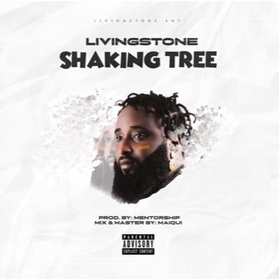 HYBRID MUSICIAN.                                BRAND NEW SINGLE OUT NOW.                      #SHAKING-TREE#