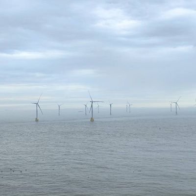 wssw000000's profile picture. 