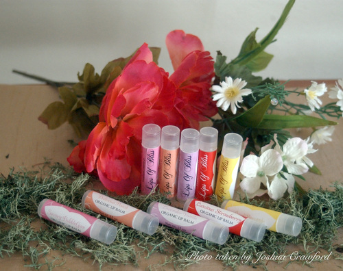 Lips of Bliss is a new organic lip balm line that was created to provide customers with a product that is healthy for your lips. Each tube is on sale for $3.00.