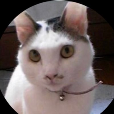 masamik's profile picture. 旅は離島か鉄道。京都市出身大阪在住主婦元楽器レコード屋飲食店覆面モニター 。Apple Macintosh SE30パソコン通信。🇩🇰MEW 🇫🇮Nightwish🇩🇪Kraftwerk 🇮🇹PFM 🇬🇧QUEEN DBowie BJH PFloyd MontyPython 📺水曜どうでしょう