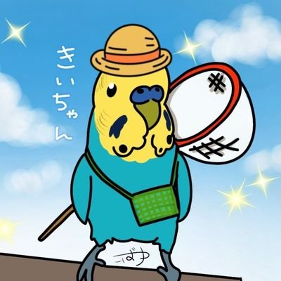 きいちゃん きいちゃん (@parakeet_kii710) / X