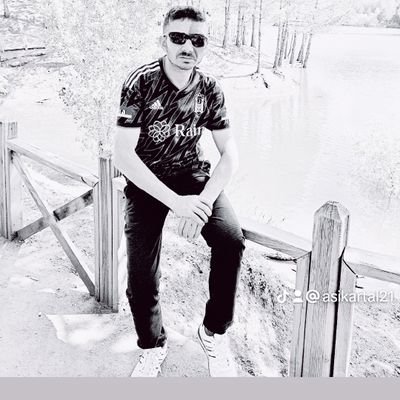 FANATİK BEŞİKTAŞ LI