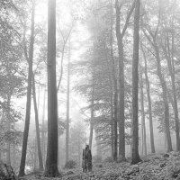 folklore lyrics bot (@folklorebot) 's Twitter Profile