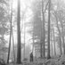 folklore lyrics bot (@folklorebot) Twitter profile photo folklore lyrics bot (@folklorebot) Twitter profile photo