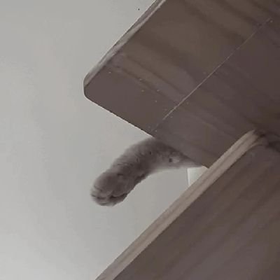 Ngaewaewown's profile picture. หวัดดี นุดดดด🐈‍⬛ @imaweoen