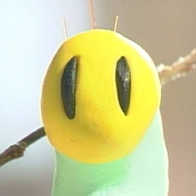 komatu_da's profile picture. 社不　短期退職数え切れず　穏やかに生きたい　目指せ出勤200日