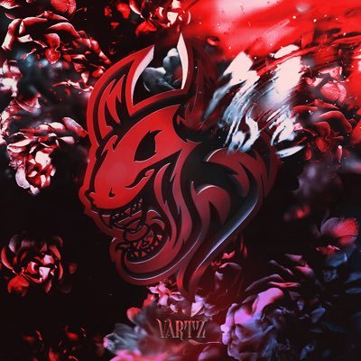 V4rtz Profile Picture