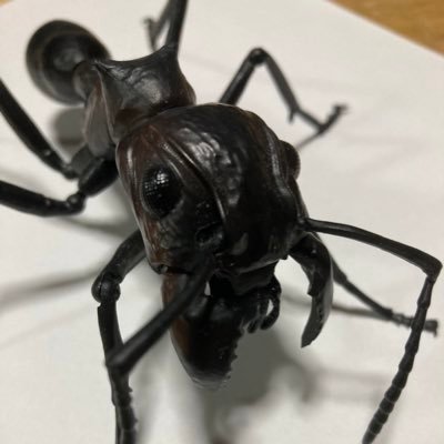 parapo_nera's profile picture. 胡桃完凸真君 並びに 胡桃大好真君 フリンズの嫁 私はたんたんの男 ヘルタの研究員