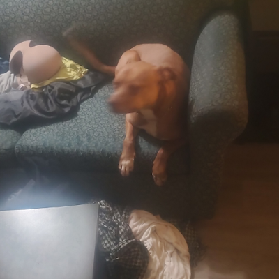 MattHargra8002's profile picture. 