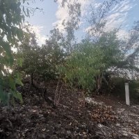 CongKhactvq (@congkhac56433) 's Twitter Profile