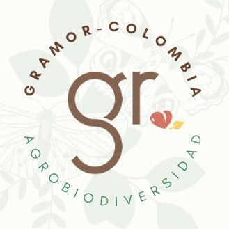 CUENTA DESACTIVADA - NO USAMOS DESDE 30/08/24
Encuéntranos ahora en: https://t.co/7pixRQbxff
#REDGRAMOR
