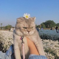 MY (@my6626) 's Twitter Profile Photo MY (@my6626) 's Twitter Profile Photo