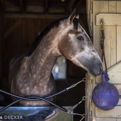 Graded Stakes Winning Trainer 🏇  NY📍FL📍KY