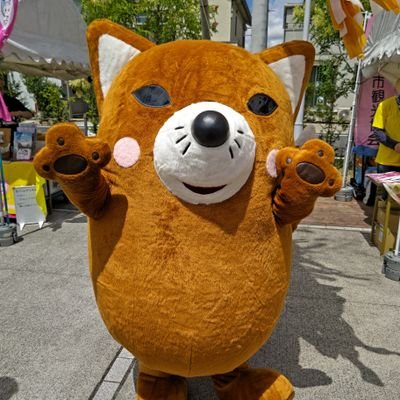 TMNETWORK(木根担)とご当地キャラとゲーム(乙女ゲー・RPGなど)が好きでアニメも声優さんも好きなヤツです。
ミナモ県の出身です。