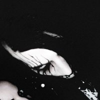 Nullifer (@nulliferbones) 's Twitter Profile
