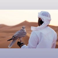 شاكر الشمري🇮🇶🇦🇪 (@almahmoodshakir) Twitter profile photo