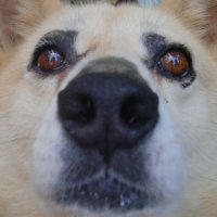 Nick@うどんライダー (@nickrya44450964) 's Twitter Profile
