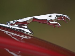 tom7035's profile picture. 