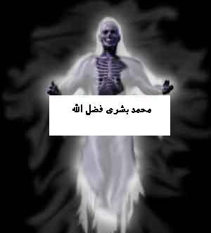 MohammedBushraF's profile picture. 