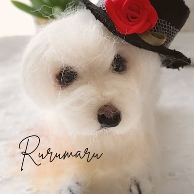rurumaru18 Profile Picture
