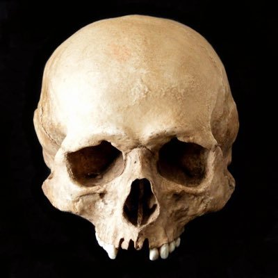 Zerosum1396662's profile picture. Watching a once bright spark die out