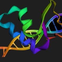 biochemist and biotechnologist, PhD cadidate, bioinformatics, plant fungal interactions