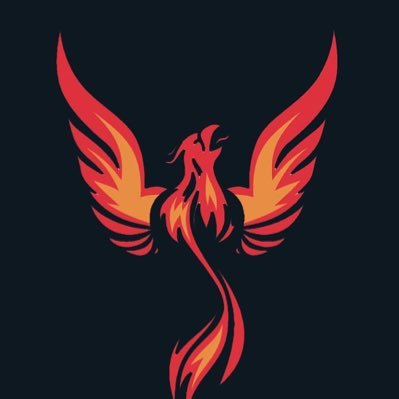 OlsiPrifti's profile picture. 