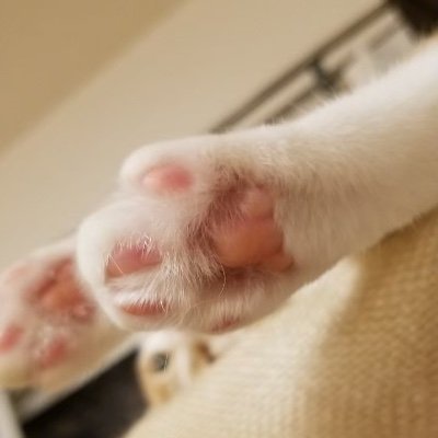 English leaner/仕事(CAE関係)でも、趣味(英会話)でも、ちょっとした娯楽(映画とか)なんでも英語にからめて楽しみながら習得を目指してます。