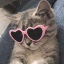 xmagda28's profile picture. 