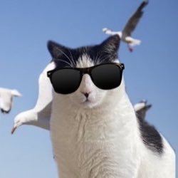 WalterKebab's profile picture. aspiring kebab, loving child of @samisntokay and @bvrningredd mortal enemy of @mittensquared