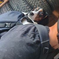 Mitch (@meestercho) 's Twitter Profile