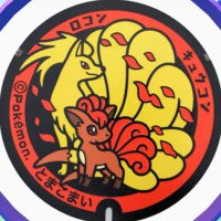 ショウ (@sonicandvulpix) Twitter profile photo