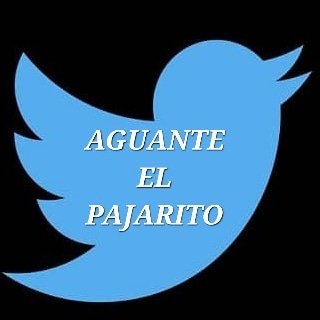 sabionda2022's profile picture. 