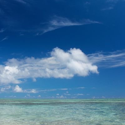 7kZPeZfe7d88946's profile picture. 趣味の筋トレをコツコツやってます。
食事も気をつけるようになって、料理も苦手だけどするようになりました。
筋トレ仲間ほしいっす