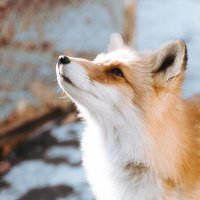 D수영 (@dsy980716) 's Twitter Profile Photo