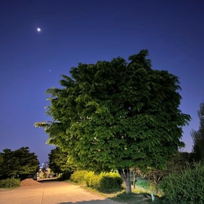 forestedfire's profile picture. 유유자적 안부낙도, 함께 잘 듣고/먹고