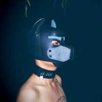 迪仔(原创互推) (@dizai1069) 's Twitter Profile Photo 迪仔(原创互推) (@dizai1069) 's Twitter Profile Photo