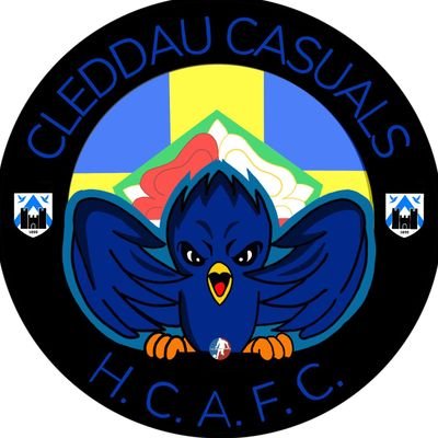 CleddauCasuals Profile Picture