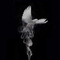 Atieno Olang (@olangessy) 's Twitter Profile Photo Atieno Olang (@olangessy) 's Twitter Profile Photo