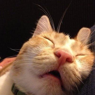 Bbam77882035's profile picture. BTS💜