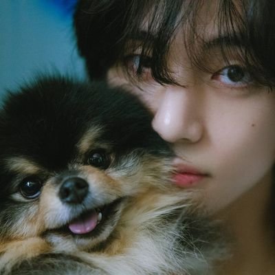 tinytanフィギュア