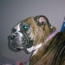 Tami Jo Dillon - @TnDcool - Twitter