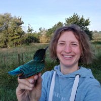 Alizée Vernouillet 🐦 (@vernouilleta) 's Twitter Profile Photo